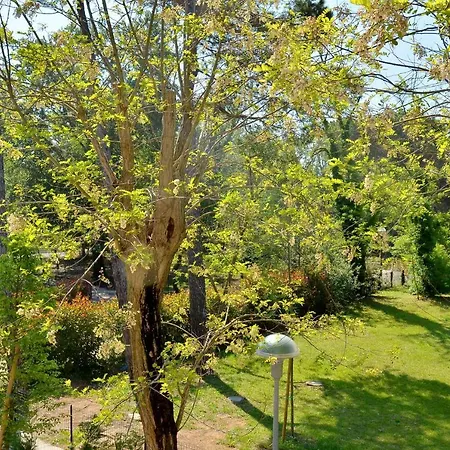 Tamerici וילה ביביונה