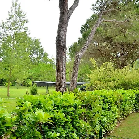 Tamerici * ביביונה